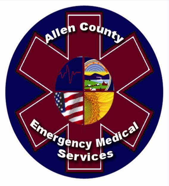 EMS patch